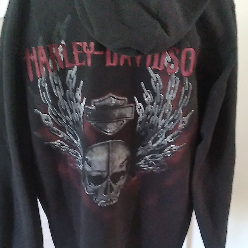 Harley-Davidson pullover Hoodie. Skull & Chain Wing back design. Sz. M